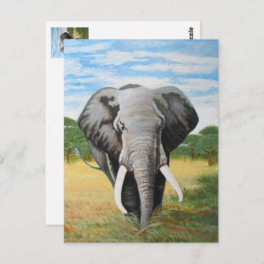 Wild Elephant Postkarte (Vorne/Hinten)