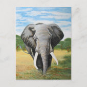 Wild Elephant Postkarte (Vorderseite)