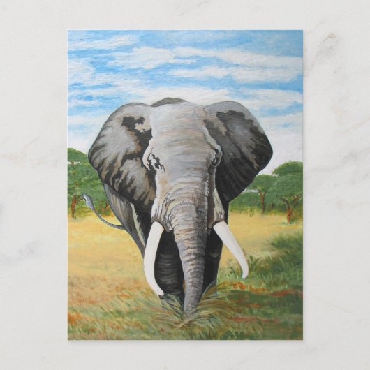 Wild Elephant Postkarte (Vorderseite)