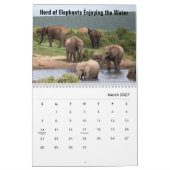 Wild Elephants Calendar Kalender (Mär 2027)