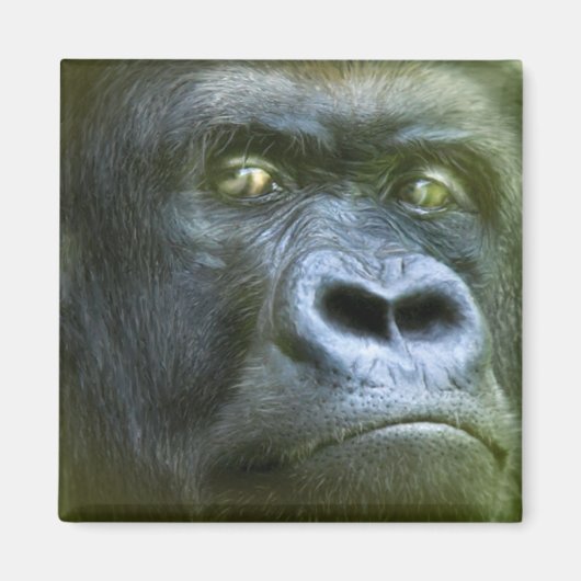 Wild Eyes - Silverback Art Magnet (Vorne)