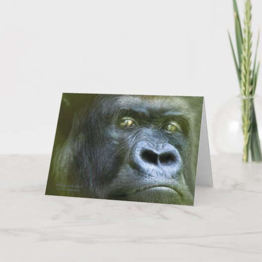 Wild Eyes - Silverback ArtCard Karte (Vorderseite)