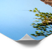 Wild Falcon Bird Poster (Ecke)