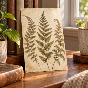Wild-Farn-Schrank-Kunstprint Poster