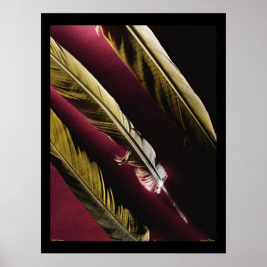 Wild Feathers Poster (Vorne)