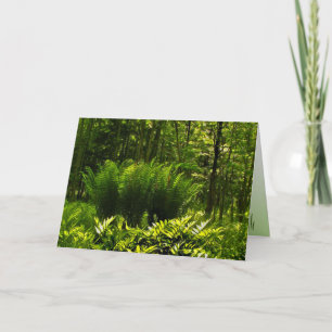 Wild Fern Abstrakter Geburtstag Karte