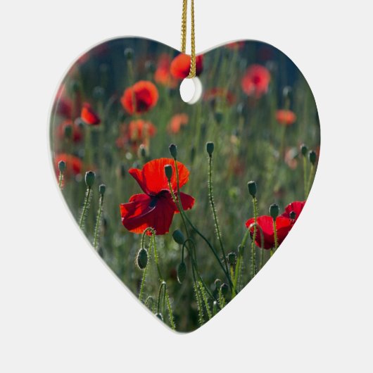 Wild Field of Poppies Ceramic Ornament (Rechts)