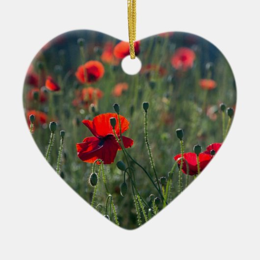 Wild Field of Poppies Ceramic Ornament (Vorne)
