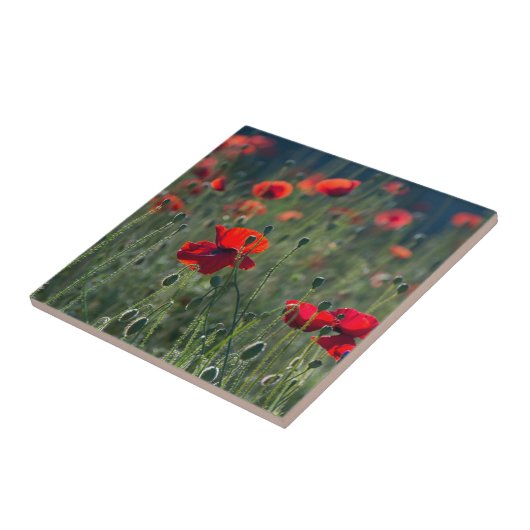 Wild Field of Poppies Keramik Tile Fliese (Seite)