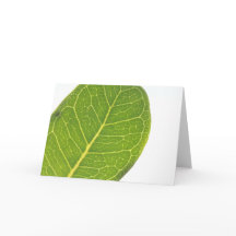 Wild Fig Rich Green Leaf Texture Greeting Card