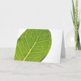 Wild Fig Rich Green Leaf Texture Greeting Card Feiertagskarte