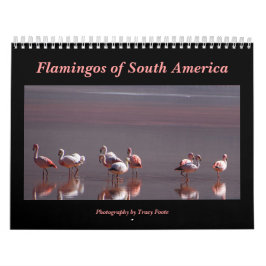 Wild Flamingo Südamerika Vögel Kalender