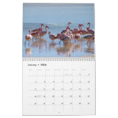 Wild Flamingo Südamerika Vögel Kalender (Jan 2026)