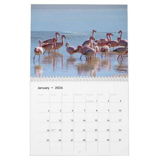 Wild Flamingo Südamerika Vögel Kalender (Jan 2026)