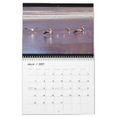 Wild Flamingo Südamerika Vögel Kalender (Mär 2027)