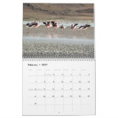 Wild Flamingo Südamerika Vögel Kalender (Feb 2027)