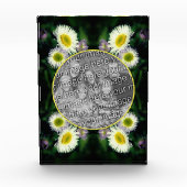 Wild Fleabane Daisy Blume Frame hinzufügen Fotoblock (Vorderseite)