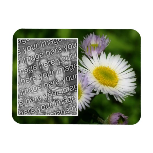 Wild Fleabane Daisy Blume Frame Ihr Foto hinzufüge Magnet (Horizontal)
