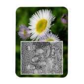 Wild Fleabane Daisy Blume Frame Ihr Foto hinzufüge Magnet (Vertikal)