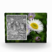 Wild Fleabane Daisy Blume Ihre eigenen Fotoblock (Vorderseite)