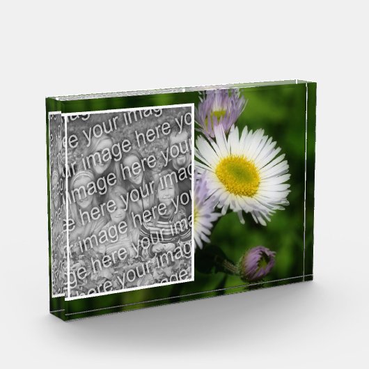 Wild Fleabane Daisy Blume Ihre eigenen Fotoblock (Links)