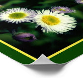 Wild Fleabane Daisy Blume Nah Abstrakt Poster (Ecke)