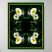 Wild Fleabane Daisy Blume Nah Abstrakt Poster (Vorne)