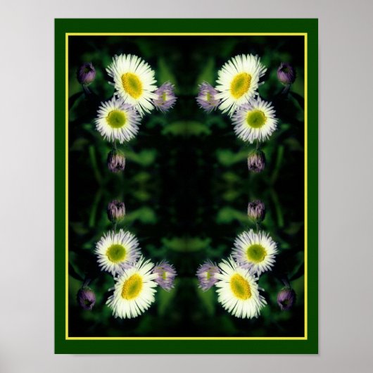 Wild Fleabane Daisy Blume Nah Abstrakt Poster (Vorne)