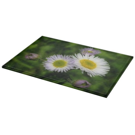 Wild Fleabane Daisy Blume Nature Schneidebrett (Ecke)