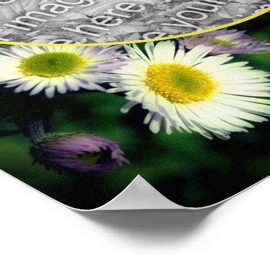 Wild Fleabane Daisy Frame erstellen Sie Ihr eigene Poster (Ecke)