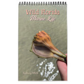 Wild Florida Marine Snails Hermit Crabs Custom Kalender (Titelbild)