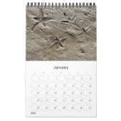 Wild Florida Marine Snails Hermit Crabs Custom Kalender (Jan 2026)