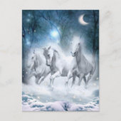 Wild Flurry Postkarte (Vorderseite)