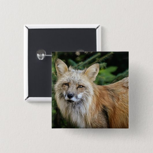 Wild Fox Button (Vorne & Hinten)