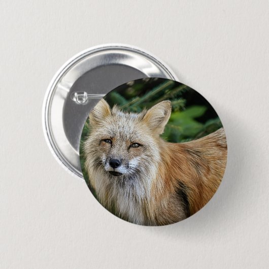 Wild Fox Button (Vorne & Hinten)