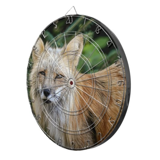 Wild Fox Dartscheibe (Vorderseite rechts)