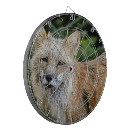 Wild Fox Dartscheibe (Vorderseite Links)