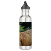 Wild Fox Edelstahlflasche (Rechts)