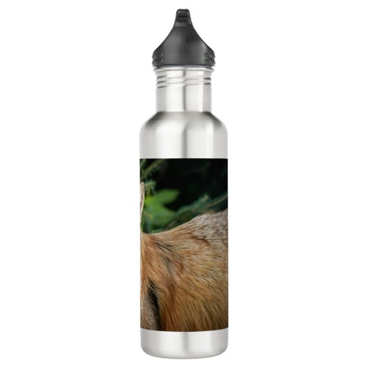 Wild Fox Edelstahlflasche (Rechts)