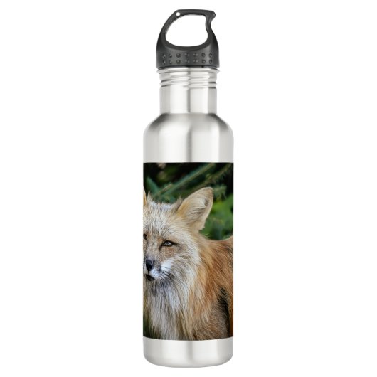 Wild Fox Edelstahlflasche (Vorderseite)