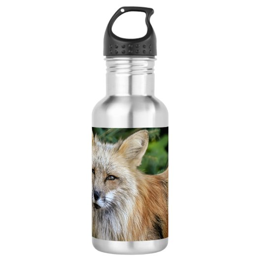 Wild Fox Edelstahlflasche (Vorderseite)