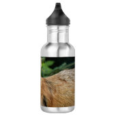 Wild Fox Edelstahlflasche (Rechts)