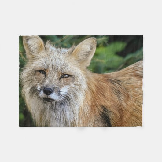 Wild Fox Fleecedecke (Vorderseite (Horizontal))
