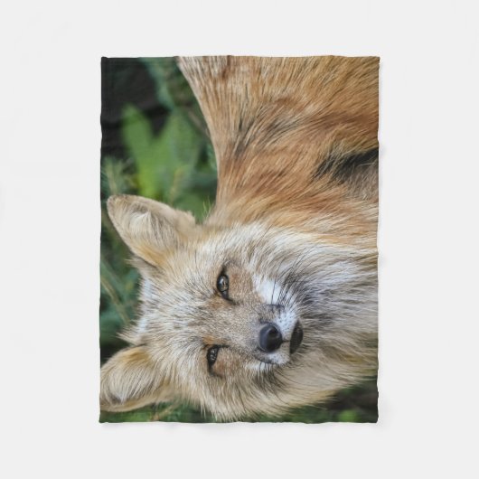 Wild Fox Fleecedecke (Vorderseite)