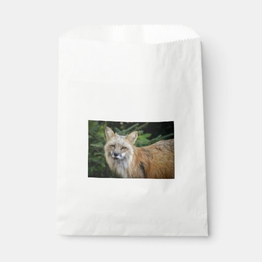 Wild Fox Geschenktütchen (Vorderseite)