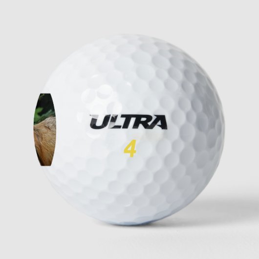 Wild Fox Golfball (Logo)