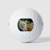 Wild Fox Golfball (Vorderseite)