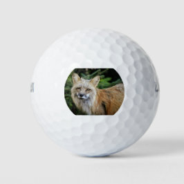 Wild Fox Golfball