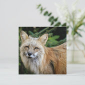 Wild Fox Karte (Stehend Vorderseite)