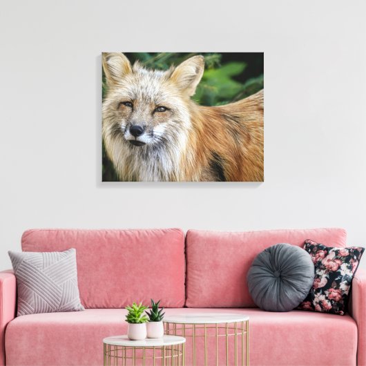 Wild Fox Leinwanddruck (Insitu (Wohnzimmer))